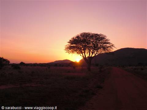 TRAMONTO TSAVO EAST