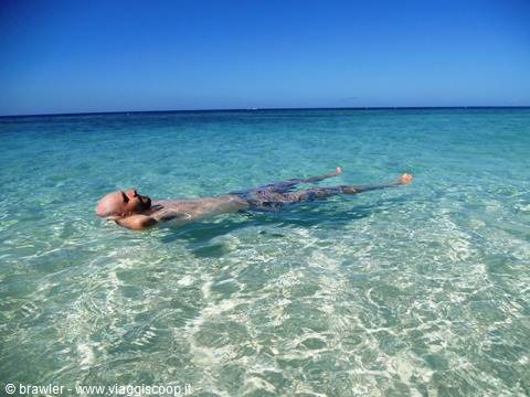 www.born2travel.it