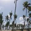 foto viaggio REPUBBLICA DOMINICANA