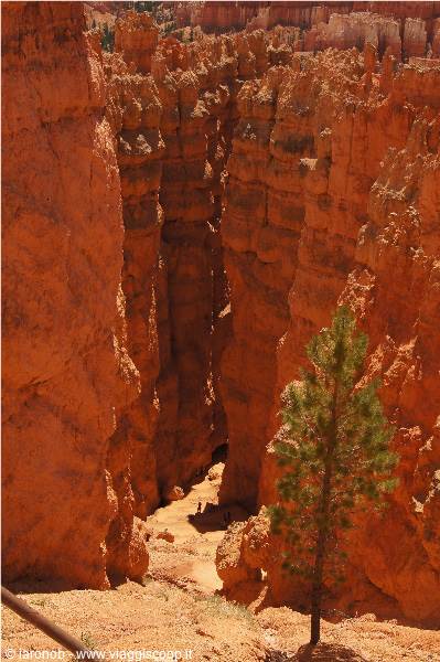Bryce Canyon