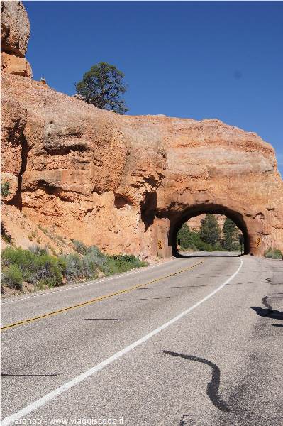 Strada Panoramica 12 verso Bryce
