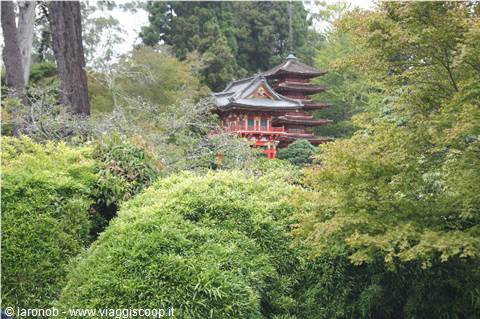 Japanese tea gardens -Golden gate park