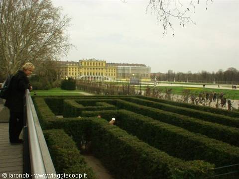 Labirinto nei giardini di Schoenbrunn