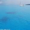 laguna di Tahaa POLINESIA FRANCESE 
