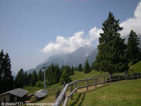 fattoria didattica a pradel