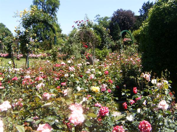 villa pallavicino