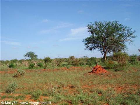 Tsavo Est