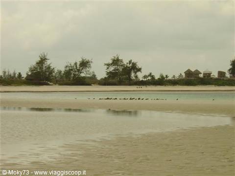 Isola dell'Amore 