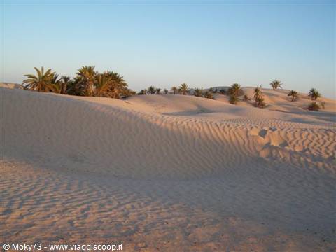 Cammellata al tramonto nel deserto di Douz