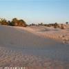 Cammellata al tramonto nel deserto di Douz TUNISIA 