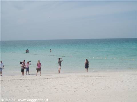 jumirai beach, Dubai