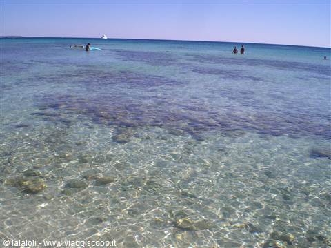 Torre Lapillo
