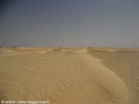 Sahara