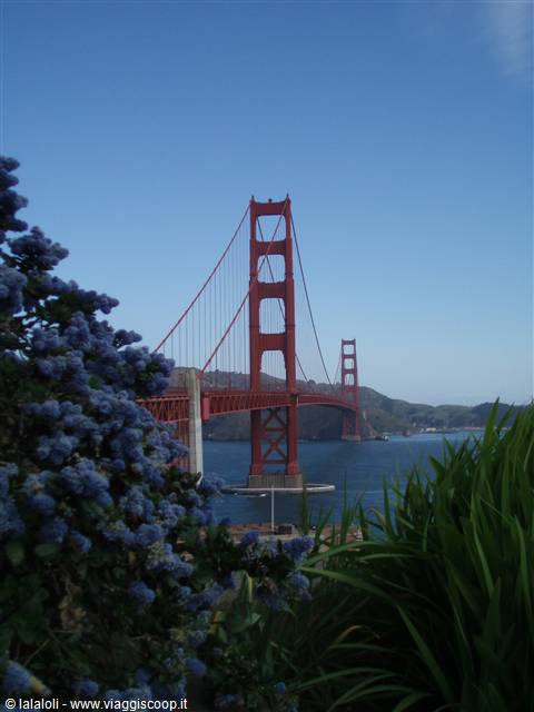 Frisco