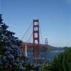 Frisco STATI UNITI D'AMERICA 