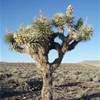 death valley STATI UNITI D'AMERICA 