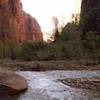 zion n.p. STATI UNITI D'AMERICA 