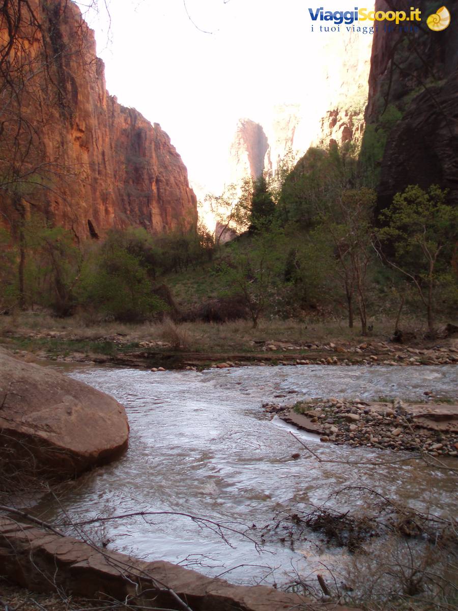 zion n.p.