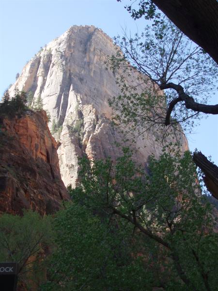 zion n.p.
