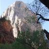 zion n.p. STATI UNITI D'AMERICA 