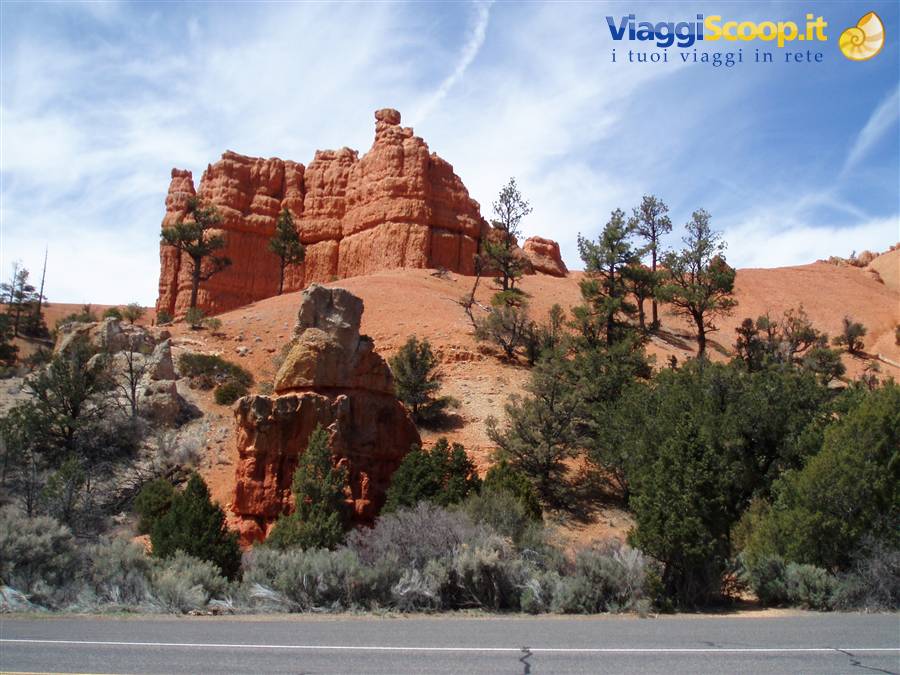zion n.p.