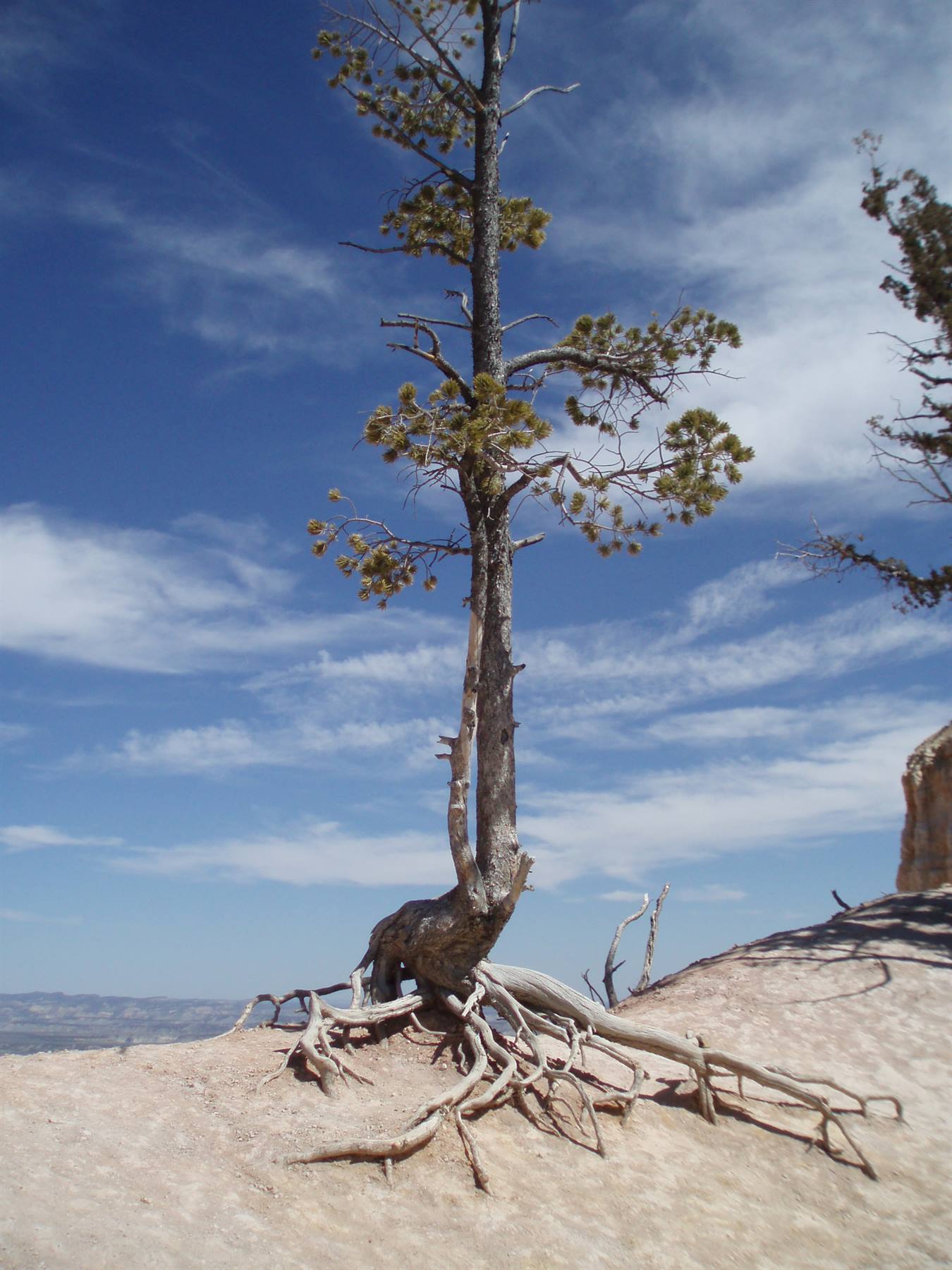 bryce canyon