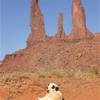 monument valley STATI UNITI D'AMERICA 