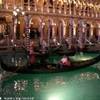 las vegas, Venetian STATI UNITI D'AMERICA 