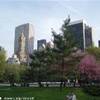 NYC STATI UNITI D'AMERICA 