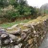 Glendalough IRLANDA 