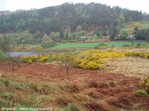 Glendalough