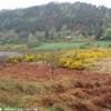 Glendalough IRLANDA 