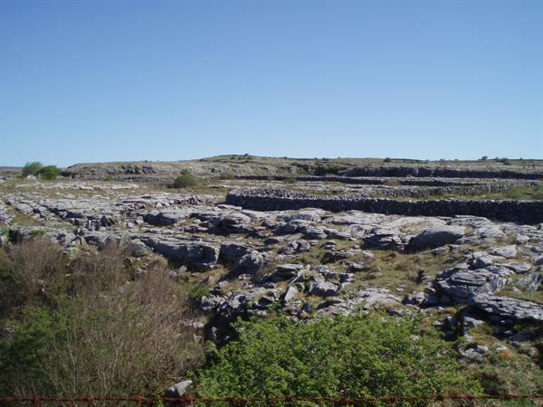 Burren