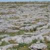 Burren IRLANDA 