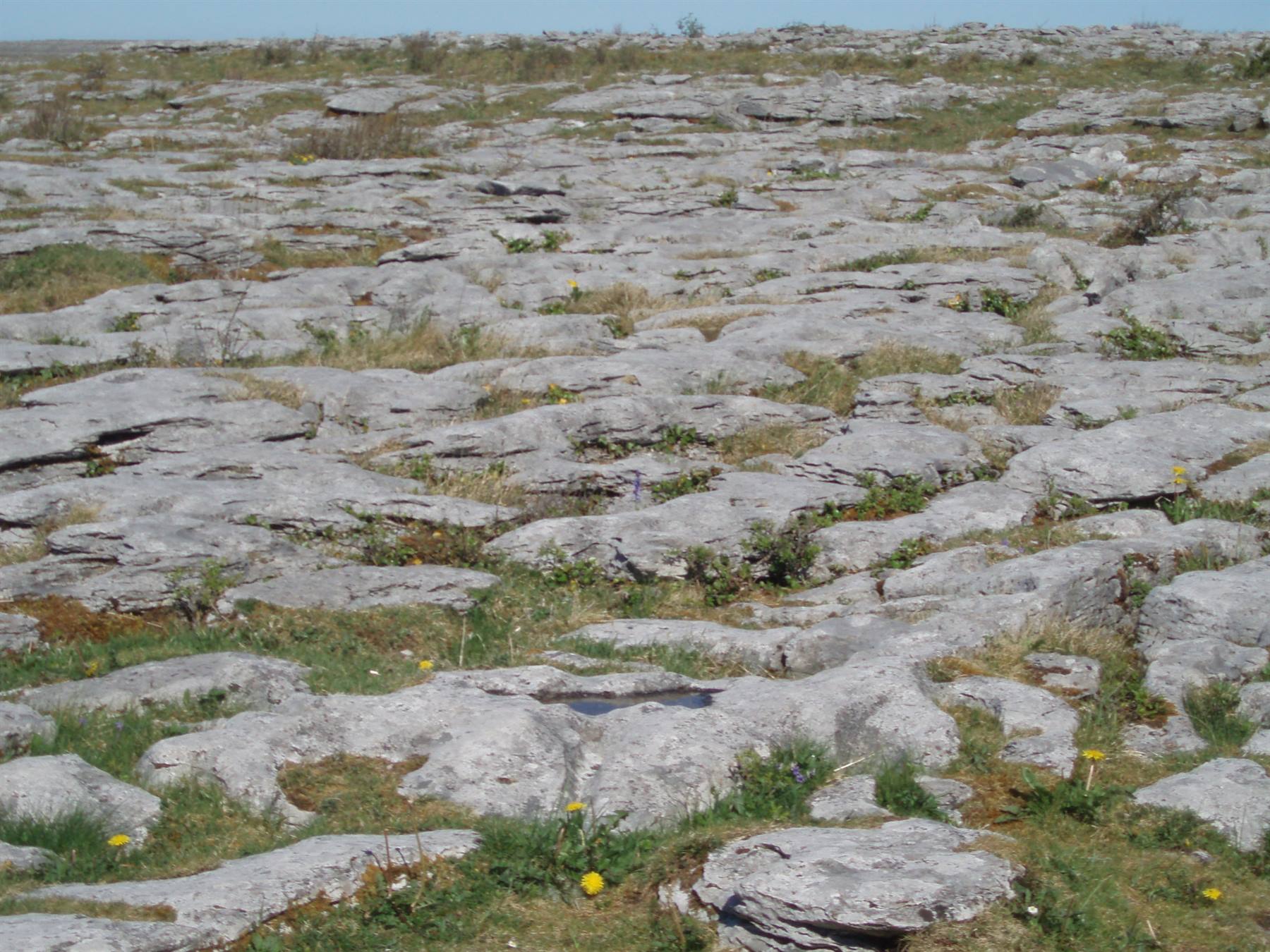 Burren