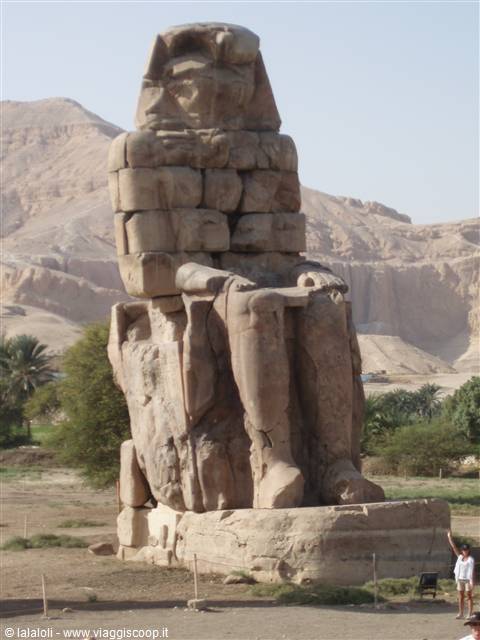 Memnon