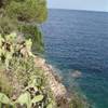  ITALIA 