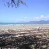 Port Douglas AUSTRALIA 