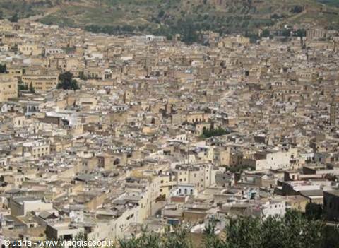 Fez la patria dei Tintori
