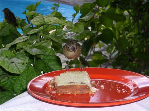 anche lui deve mangiare