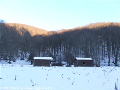 MONTELLA - Casette in legno a 1200 m.s.l.m.