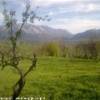 MONTELLA - Alta Valle del Calore ITALIA 