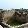 AECLANUM ITALIA 