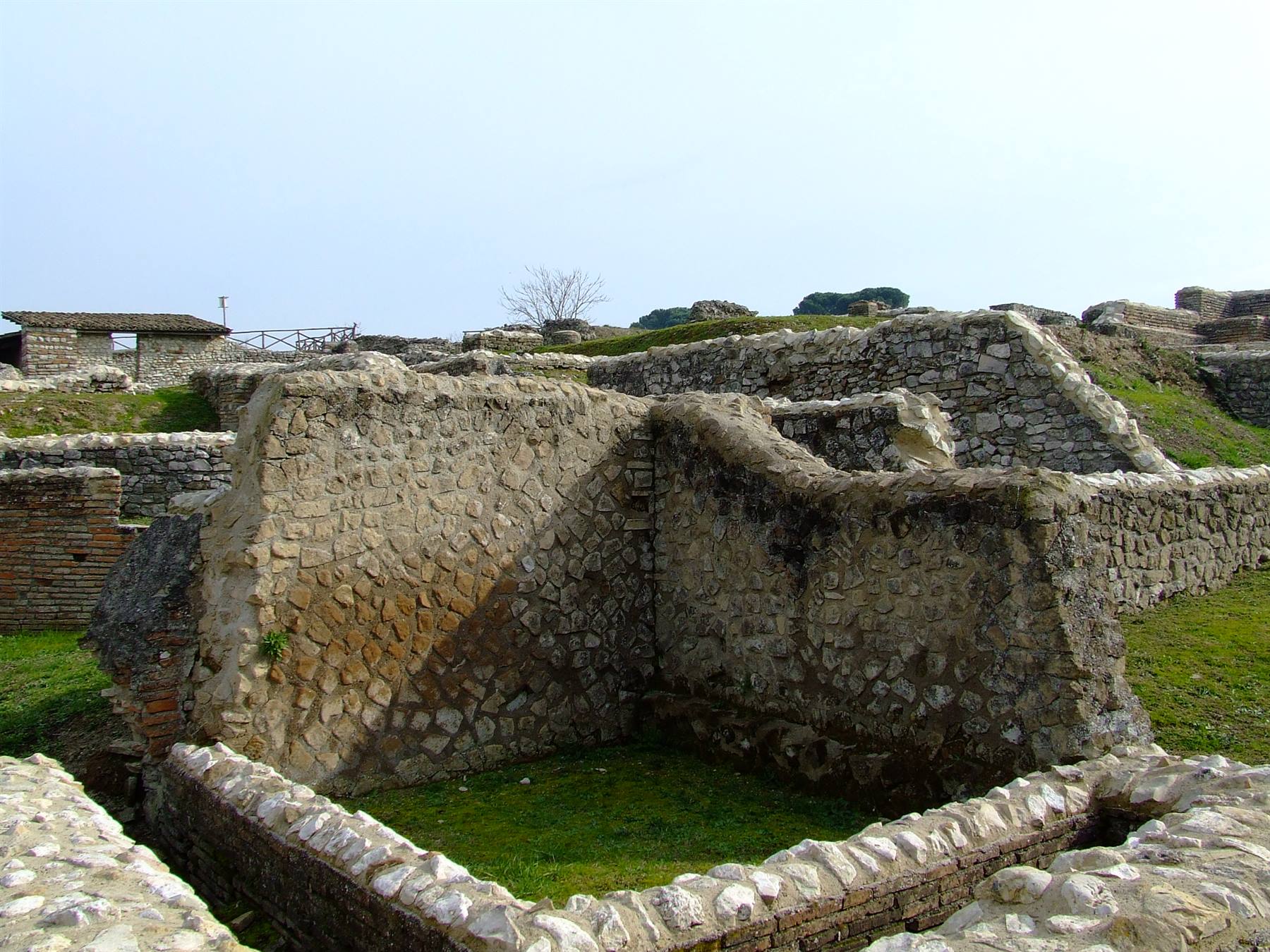 AECLANUM