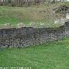 ABELLINUM ITALIA 