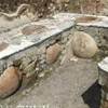 HERCOLANEUM ITALIA 