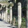 HERCOLANEUM ITALIA 