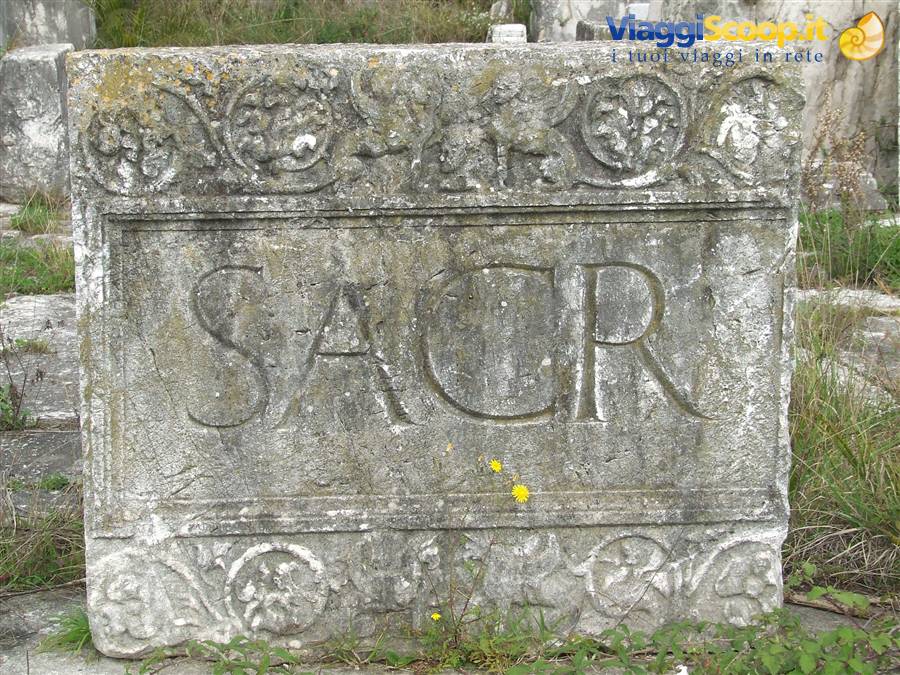 S. MARIA CAPUA VETERE - Particolare