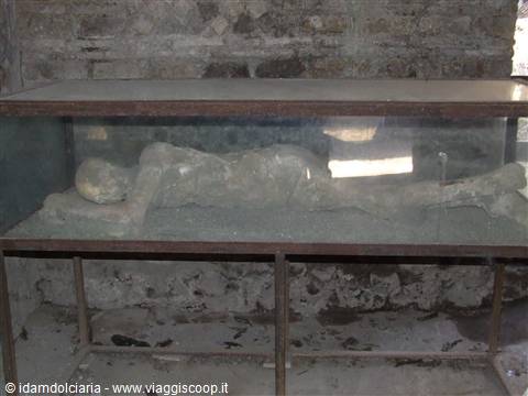 POMPEI - Calco in gesso