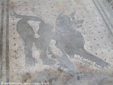 POMPEI - Il mosaico ''CAVE CANEM''